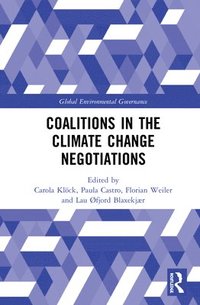 bokomslag Coalitions in the Climate Change Negotiations