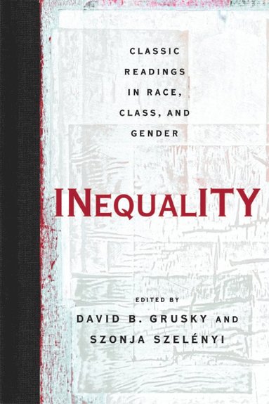 bokomslag Inequality