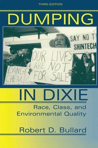 bokomslag Dumping In Dixie