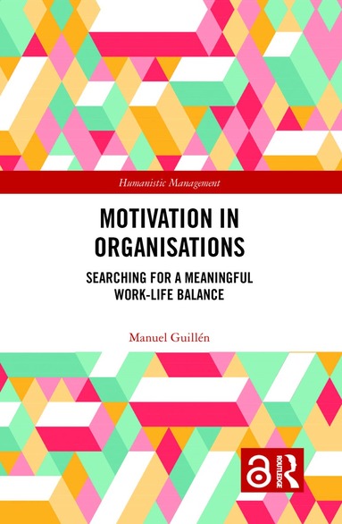 Manuel Guillen - Motivation in Organisations, Inbunden