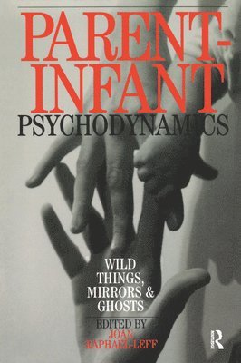 bokomslag Parent-Infant Psychodynamics