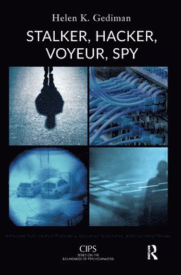 Stalker, Hacker, Voyeur, Spy 1