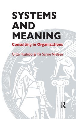 Gitte Haslebo, Kit Sanne Nielsen - Systems and Meaning, Inbunden