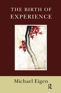 bokomslag Birth of Experience