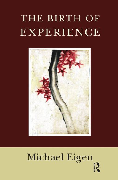 bokomslag Birth of Experience