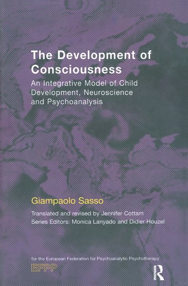 bokomslag Development of Consciousness