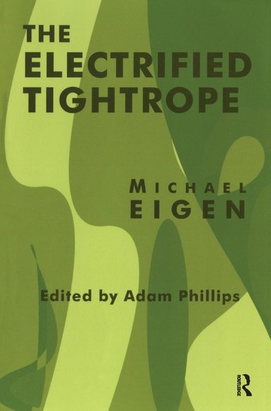 bokomslag Electrified Tightrope