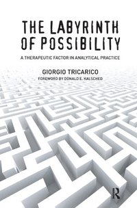 bokomslag The Labyrinth of Possibility