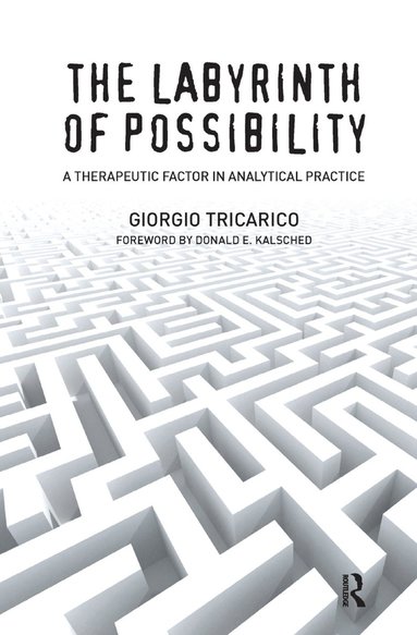 bokomslag Labyrinth of Possibility