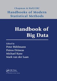 bokomslag Handbook of Big Data