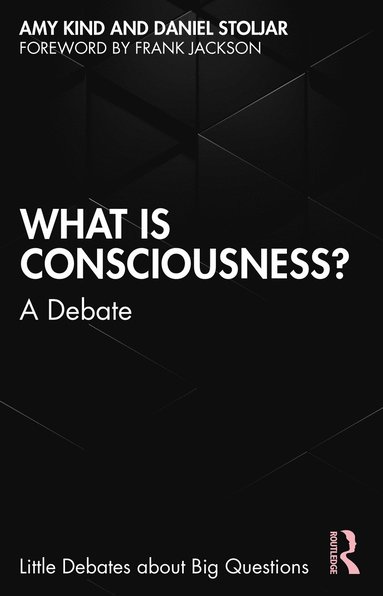 bokomslag What is Consciousness?