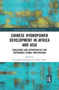 bokomslag Chinese Hydropower Development in Africa and Asia