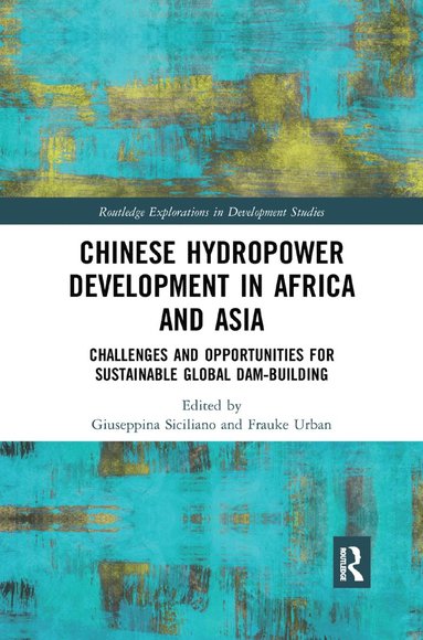 bokomslag Chinese Hydropower Development in Africa and Asia