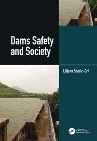 bokomslag Dams Safety and Society