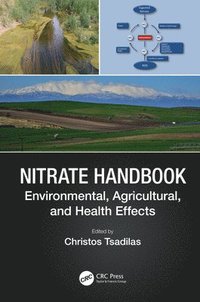 bokomslag Nitrate Handbook