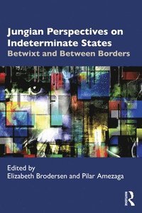 bokomslag Jungian Perspectives on Indeterminate States