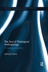 bokomslag The Soul of Theological Anthropology