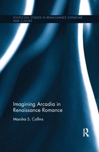 bokomslag Imagining Arcadia in Renaissance Romance