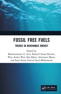 bokomslag Fossil Free Fuels
