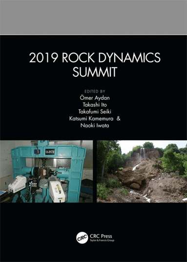 Ömer Aydan, Takashi Ito, Takafumi Seiki, Katsumi Kamemura, Naoki Iwata - 2019 Rock Dynamics Summit, Inbunden