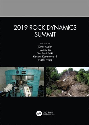 2019 Rock Dynamics Summit 1