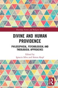bokomslag Divine and Human Providence