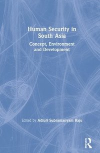 bokomslag Human Security in South Asia