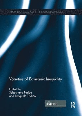 Varieties of Economic Inequality 1