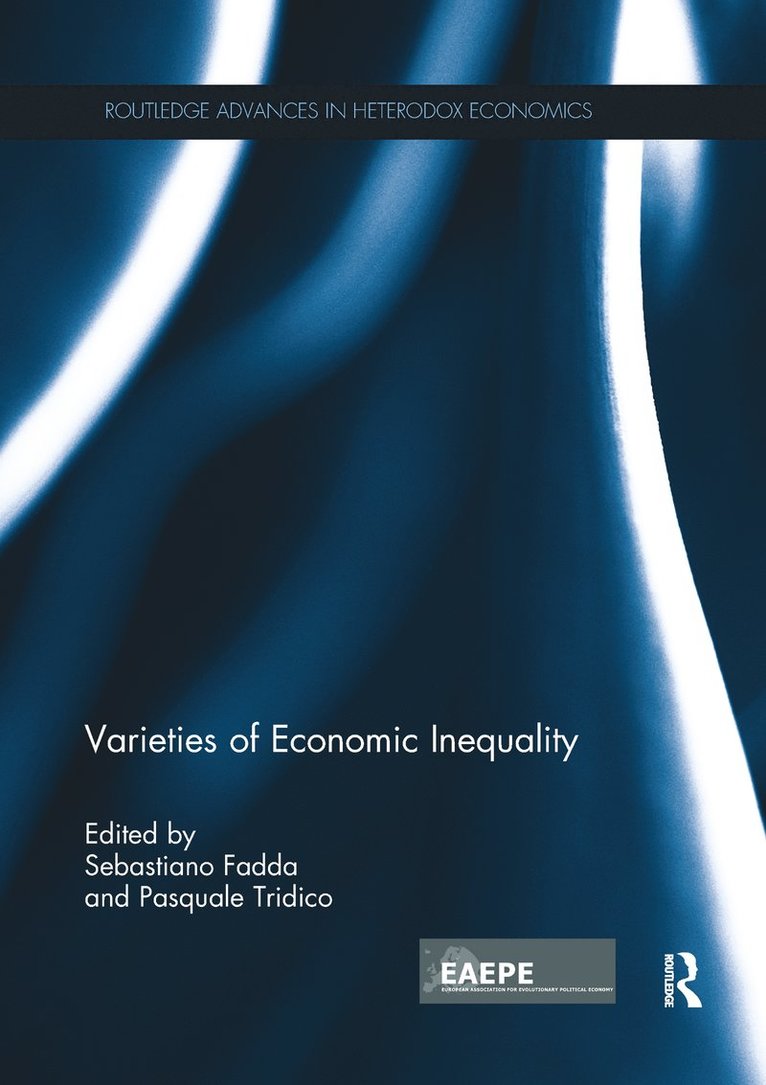 Sebastiano Fadda, Pasquale Tridico - Varieties of Economic Inequality, Häftad
