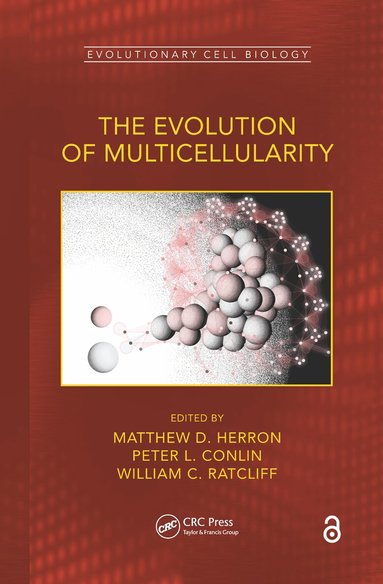 Matthew D. Herron, Peter L. Conlin, William C. Ratcliff - Evolution of Multicellularity, Inbunden