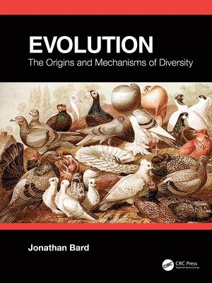 Jonathan Bard, UK) Bard, Jonathan (Balliol College, University of Oxford, Oxfordshire - Evolution, Häftad