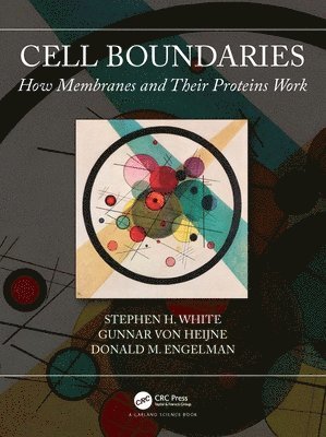 Cell Boundaries 1