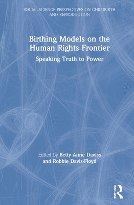 bokomslag Birthing Models on the Human Rights Frontier