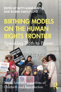bokomslag Birthing Models on the Human Rights Frontier