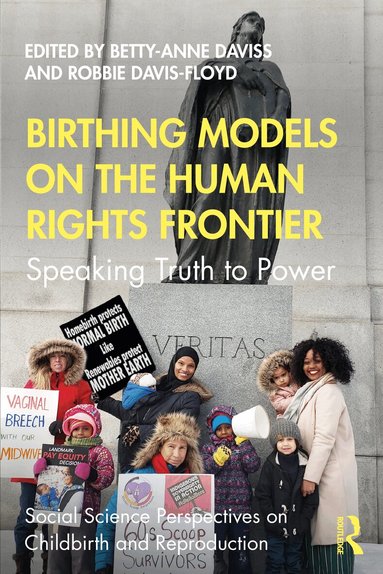 Betty-Anne Daviss, Robbie Davis-Floyd - Birthing Models on the Human Rights Frontier, Häftad