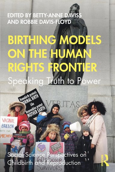 bokomslag Birthing Models on the Human Rights Frontier