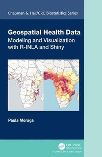 bokomslag Geospatial Health Data