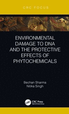 Environmental Damage to DNA and the Protective Effects of Phytochemicals 1