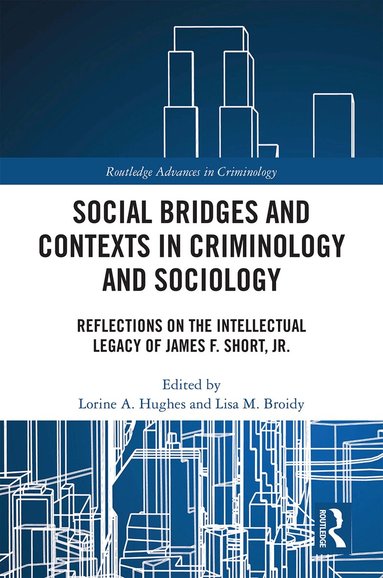 Lorine Hughes, Lisa Broidy - Social Bridges and Contexts in Criminology and Sociology, Inbunden