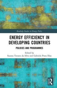 bokomslag Energy Efficiency in Developing Countries