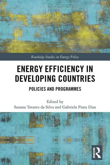 Suzana Tavares da Silva, Gabriela Prata Dias - Energy Efficiency in Developing Countries, Inbunden