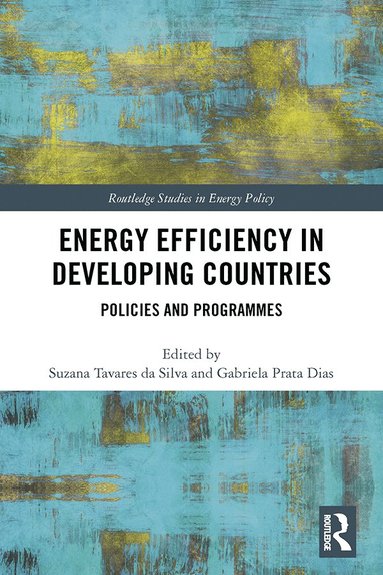 bokomslag Energy Efficiency in Developing Countries