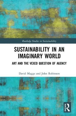 Sustainability in an Imaginary World 1