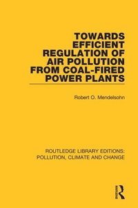 bokomslag Towards Efficient Regulation of Air Pollution from Coal-Fired Power Plants