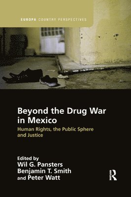 bokomslag Beyond the Drug War in Mexico