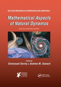 bokomslag Mathematical Aspects of Natural Dynamos