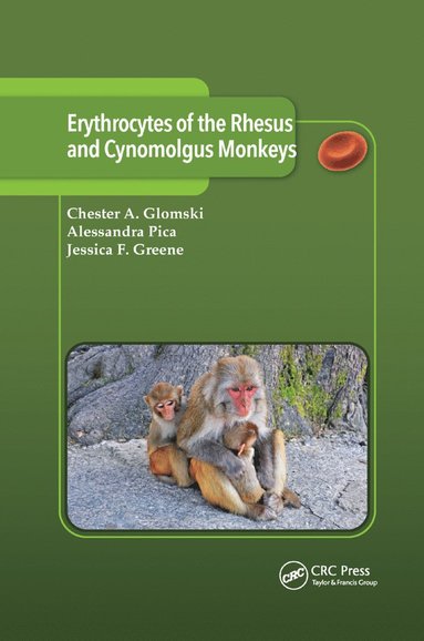 bokomslag Erythrocytes of the Rhesus and Cynomolgus Monkeys