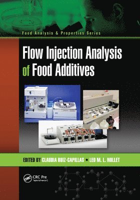 Claudia Ruiz-Capillas, Leo M.L. Nollet, Leo M. L. Nollet - Flow Injection Analysis of Food Additives, Häftad