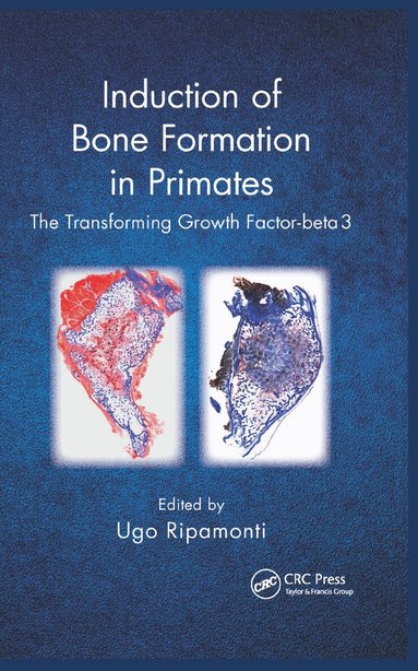 Ugo Ripamonti - Induction of Bone Formation in Primates, Häftad