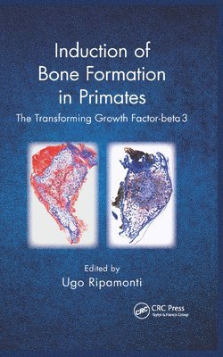 Induction of Bone Formation in Primates 1